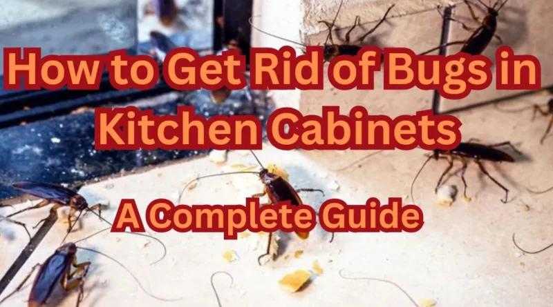 how to get rid of bugs in kitchen cabinets