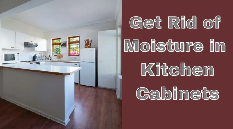 Get Rid of Moisture in Kitchen Cabinets