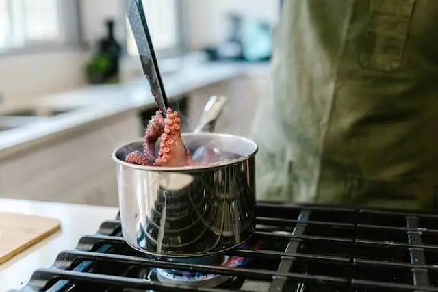 stovetop pot-filling faucets